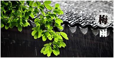 中國除濕機(jī)目前的市場現(xiàn)狀和未來的發(fā)展前景